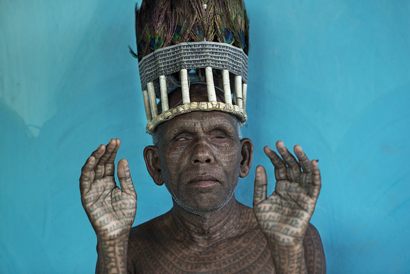 Illustration for article titled The Winning Images From National Geographic's 2014 Photo Contest